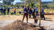 Sembrada simblica de dotze arbres al campus - Foto: A.Costa/UIB