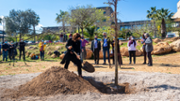 Sembrada simblica de dotze arbres al campus - Foto: A.Costa/UIB