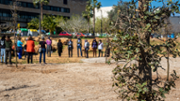 Sembrada simblica de dotze arbres al campus - Foto: A.Costa/UIB