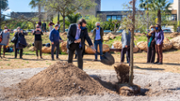 Sembrada simblica de dotze arbres al campus - Foto: A.Costa/UIB