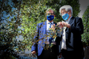 Plantaci d'una olivera als jardins de la Seu de Menorca - Foto: A.COSTA/UIB