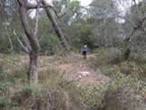 IMG_1895.jpeg.jpg
