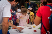 Taller d'identificaci d'insectes -  Foto: A.COSTA/UIB