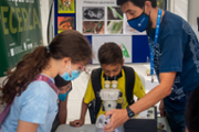 Taller d'identificaci d'insectes -  Foto: A.COSTA/UIB