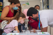 Taller d'identificaci d'insectes -  Foto: A.COSTA/UIB