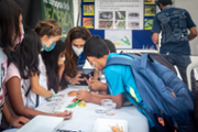 Taller d'identificaci d'insectes -  Foto: A.COSTA/UIB