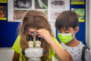 Taller d'identificaci d'insectes -  Foto: A.COSTA/UIB