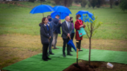 Jardins de Son Lled: plantada d'un caquier - Foto: A.Costa/UIB