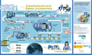 Infografia: Flavia Gargiulo/Planet Tuna