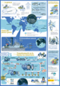 Infografia: Flavia Gargiulo/Planet Tuna