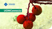 connec-FB-TW.jpg