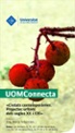 connec-IGS.jpg