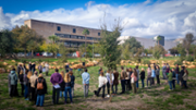 La UIB commemora el Dia Internacional per a l'Eliminaci de la Violncia contra les Dones - FOTO: A.Costa/UIB