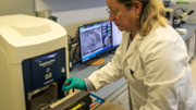 La doctora Antnia Costa, investigadora del BICUIB i del Laboratori d'Investigaci en Litiasi Renal de la UIB -  FOTO: A.Costa/UIB