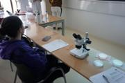 DSC02307.JPG