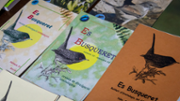 Es Busqueret: Revista de divulgaci naturalstica de les Illes Balears, editada pel GOB - Foto: A.COSTA/UIB