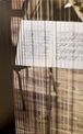 Exemplar de la fotografia guanyadora del set concurs de fotografia: Taquigrafia de l'emoci de l'alumna del Doctorat d'Educaci Isabel Eugenia Domnguez Oliver
