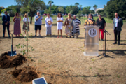 La UIB planta un roure en memria d'Agust Villaronga - Foto: A.COSTA/UIB