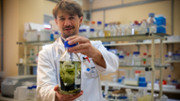 Joseph Christie-Oleza, investigador del Departament de Biologia de la UIB - Foto: A.COSTA/UIB