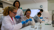 Campus cientfico-tcnic: Bioqumica: Mtode Folch - Foto: A.Costa/UIB