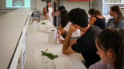 Campus cientfico-tcnic: Enginyeria Agroalimentria i del Medi Rural: Biotecnologia, micropropagaci de plantes. Foto: A.Costa/UIB