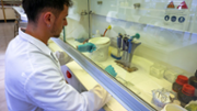 Pere Miquel Morl, investigador del Grup Multidisciplinari d'Oncologia Translacional (GMOT) - Foto: A.Costa/UIB