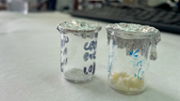 microplastics01.jpg