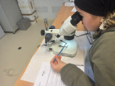 ciencia-eivissa.-3.jpg