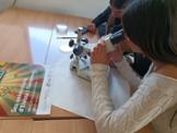 ciencia-eivissa.-26.jpg