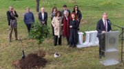 Jardins de Son Lled: plantada d'un taronger | Foto: A.Costa/UIB