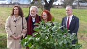 Jardins de Son Lled: plantada d'un taronger | Foto: A.Costa/UIB