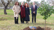 Jardins de Son Lled: plantada d'un taronger | Foto: A.Costa/UIB