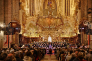 Concert de Setmana Santa a la Catedral de Mallorca - Foto: Dami Prohens / CAIB