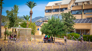 Campus de la Universitat de les Illes Balears | Foto: A.COSTA/UIB