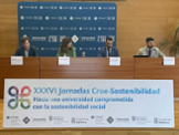 CRUE Sostenibilitat