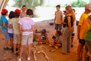 VI Diada Petits Cientfics: Arqueologia: Arquedrom, arquelegs per un dia -  Foto: A.COSTA/UIB