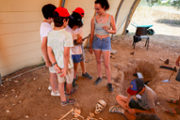 VI Diada Petits Cientfics: Arqueologia: Arquedrom, arquelegs per un dia -  Foto: A.COSTA/UIB