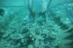 La UIB participa en les Jornades d'Arqueologia Marina